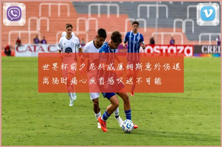 世界杯前夕尼科威廉姆斯意外伤退离场时痛心疾首感叹这不可能